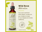 FLEUR BACH WILD ROSE GTT 20 ML