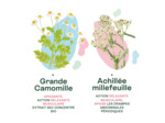 NATURACTIVE REGLES DOULOUREUSES GELU30