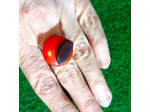Bague rouge-marron en ivoire végétal