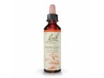 FLEUR BACH MIMULUS GTT FL20ML
