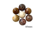 PERLES BOIS FOSSILE