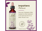 FLEUR BACH IMPATIENS GTT 20ML