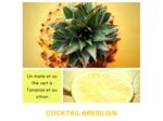 COCKTAIL BRÉSILIEN - Maté Ananas - Citron