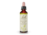 FLEUR BACH CHESNUT BUD GTT 20ML