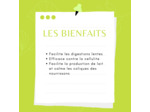 FENOUIL - Fruits