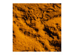 CURCUMA - Poudre