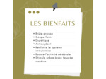 MATÉ VERT - Feuilles coupées