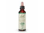 FLEUR BACH CENTAURY GTT FL20ML