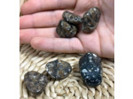 AGATE FOSSILE