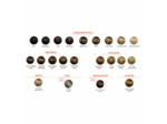 PHYTO COLORATION PERMANENTE 5,7