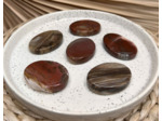 GALET BOIS FOSSILE