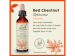 FLEUR BACH RED CHEST GTT 20ML