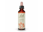 FLEUR BACH ASPEN  20 ML