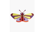Papillon purple eyed