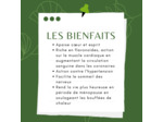 AUBÉPINE - Sommités fleuries
