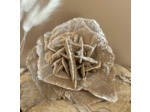 ROSE DES SABLES