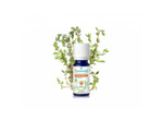 PSL HE THYM LINALOL B 5ML