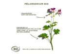 SANOFLORE CR MERVEILLEUSE LEGERE 40ML