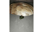 Pendentif grenouille Jade artisanal