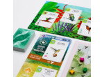 Wingspan Amériques
