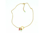 Collier Citrus Coral