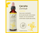 FLEUR BACH CERATO GTT FL20ML