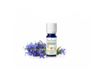 PSL HE ROMARIN VERBEN B 5ML