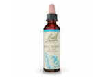 FLEUR BACH ROCK WATER GTT 20ML