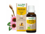 HERBALGEM PROPOLIS GOUT LARGE SPECTRE 30M