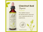 FLEUR BACH CHESNUT BUD GTT 20ML