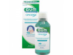 GUM BDB GINGIDEX 0.06 300ML