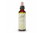 FLEUR BACH OLIVE FL20ML
