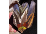 broche barrette en plumes
