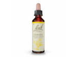 FLEUR BACH CERATO GTT FL20ML