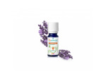 PSL HE LAVANDE ASP B 10ML