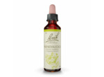FLEUR BACH HONEYSUCKLE GTT 20ML