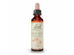 FLEUR BACH ROCK ROSE GTT 20ML