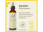 FLEUR BACH GENTIAN GTT FL20ML