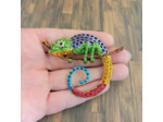 Broche caméléon 1
