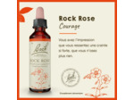 FLEUR BACH ROCK ROSE GTT 20ML
