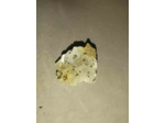 Fluorite et pyrite 41g