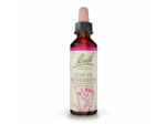 FLEUR BACH STAR BETHLEHEM 20ML