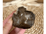 QUARTZ JACARÉ