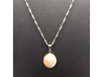 Pendentif œil de Sainte Lucie, coquillage porte bonheur, chaîne acier inox