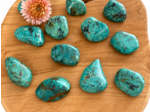 TURQUOISE AFRICAINE