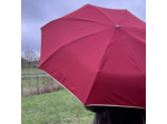 Piganiol x Noix D'arec Parapluie Pliant Pour Femme Bordeaux / Biais Or