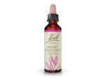 FLEUR BACH SWEET CHESTNUT GTT 20ML