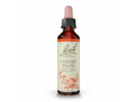 FLEUR BACH CHERRY PLUM GTT FL20ML