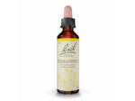 FLEUR BACH SCLERANTHUS GTT 20ML