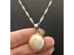 Pendentif œil de Sainte Lucie, coquillage porte bonheur, chaîne acier inox